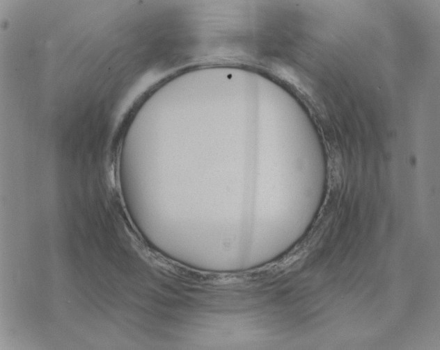 X0000075841462200610151533