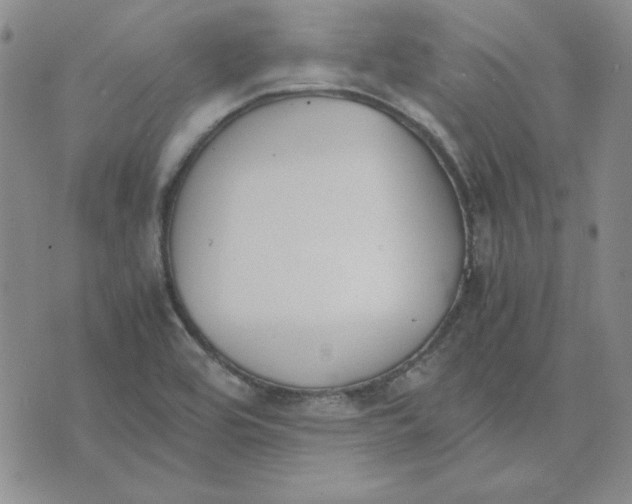 X0000075841464200610151533