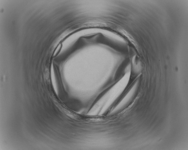 X0000075841465200610151533