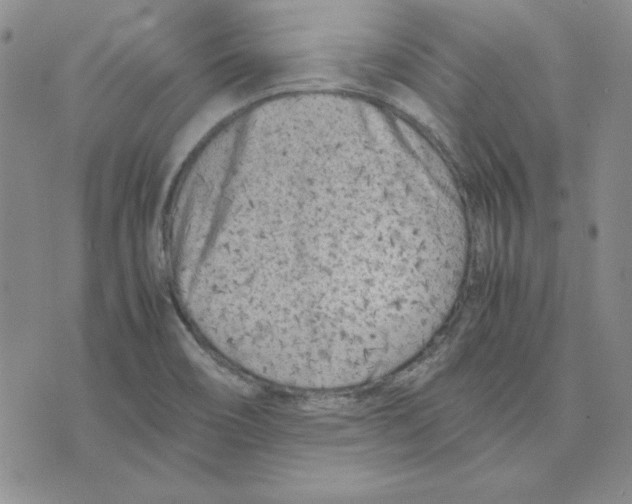 X0000075841466200610151533