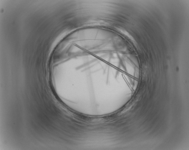 X0000075841467200610151533