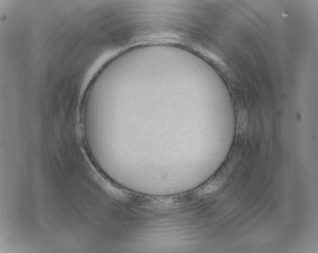 X0000075841470200610151533