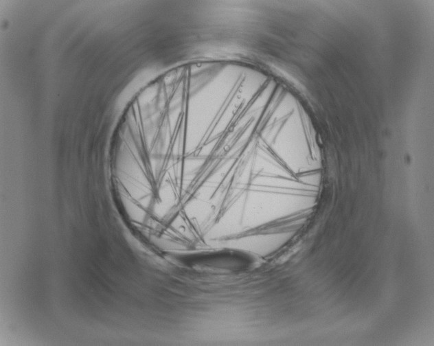 X0000075841471200610151533