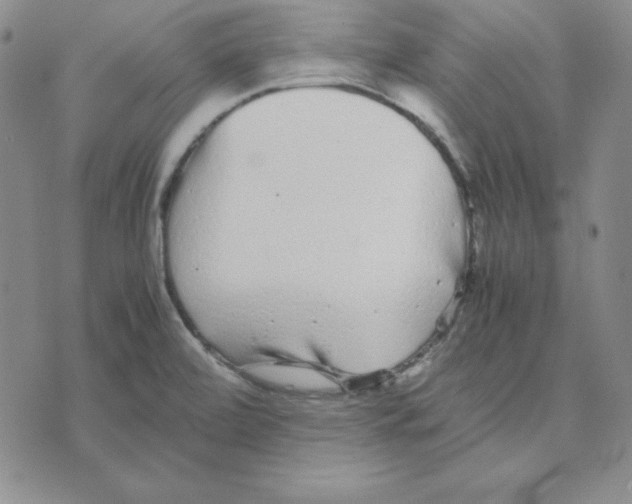 X0000075841472200610151533