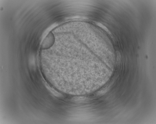 X0000075841474200610151533