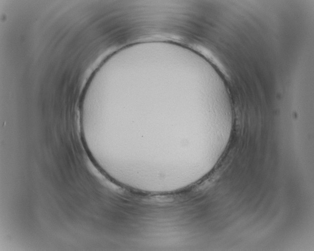 X0000075841476200610151532