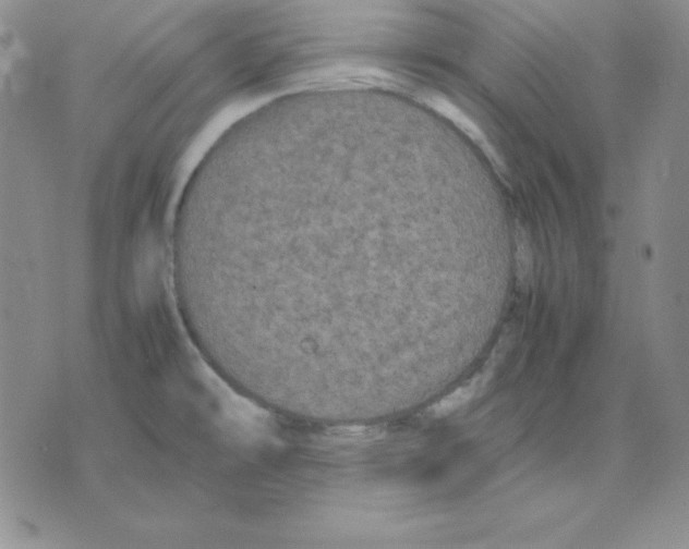 X0000075841478200610151532