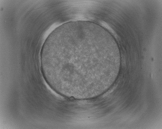 X0000075841479200610151532