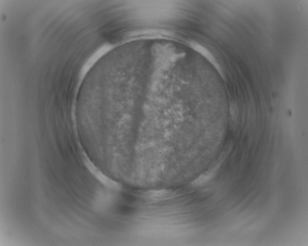 X0000075841482200610151532