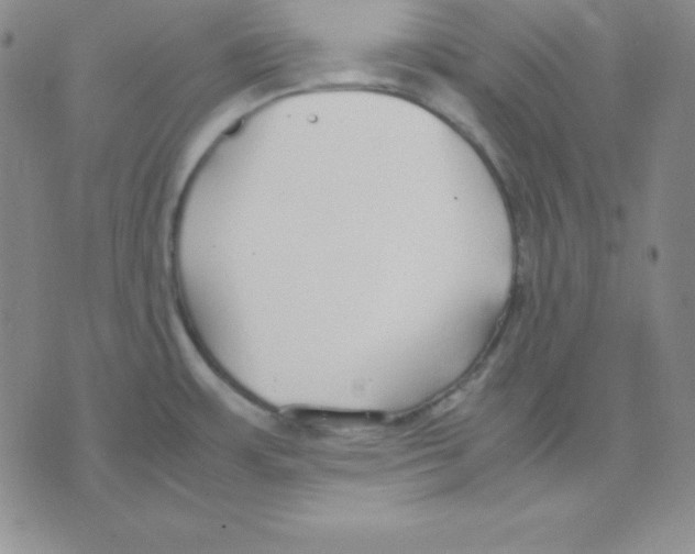 X0000075841483200610151532