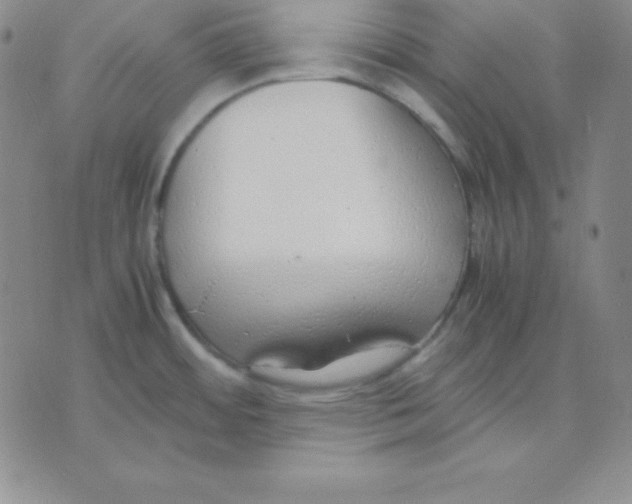 X0000075841484200610151532