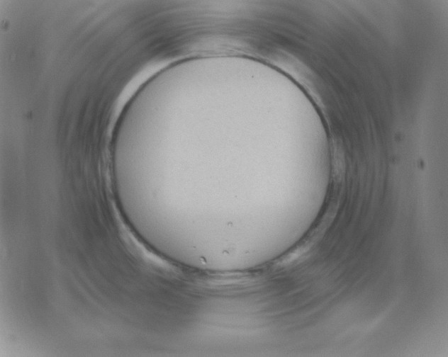 X0000075841486200610151532