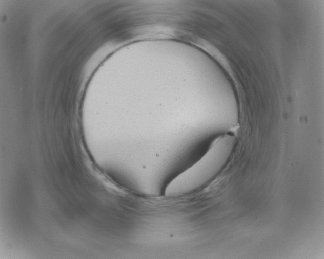 X0000075841488200610151532