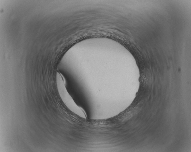 X0000075841490200610151532