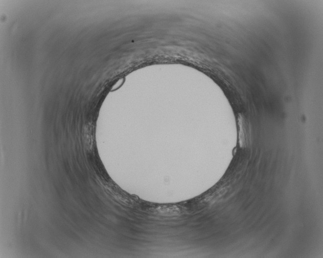 X0000075841491200610151532