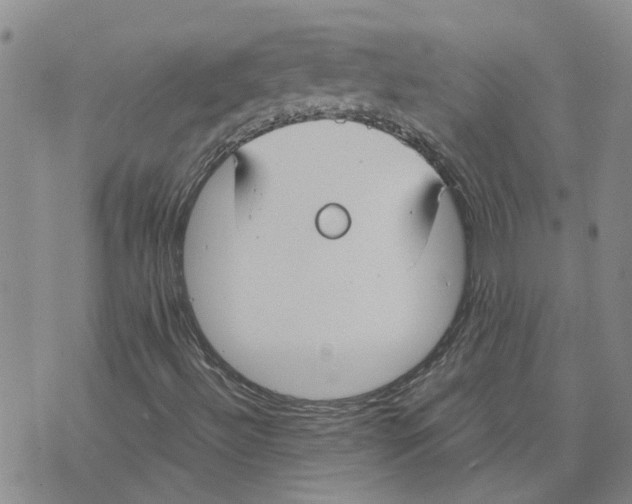 X0000075841492200610151532