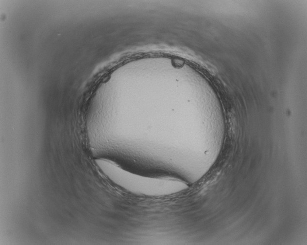 X0000075841494200610151532