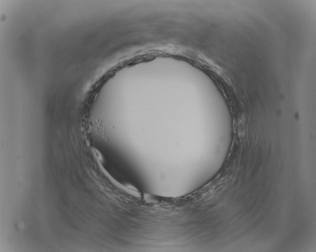 X0000075841496200610151532