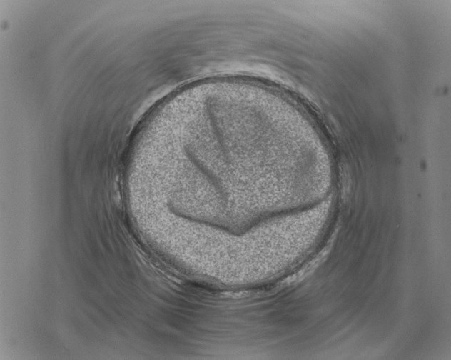 X0000075841497200610151532