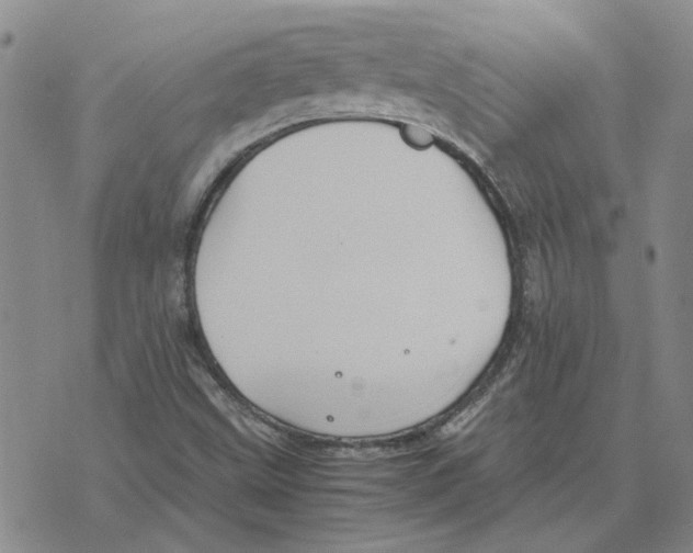 X0000075841499200610151532