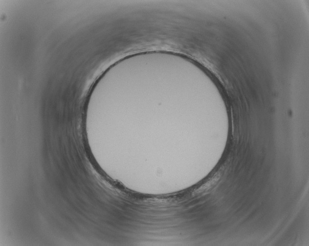 X0000075841500200610151532