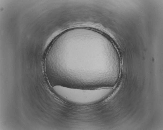 X0000075841501200610151532