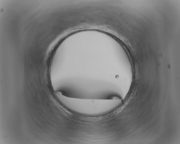 X0000075841502200610151532