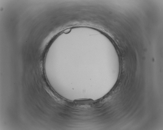 X0000075841503200610151532