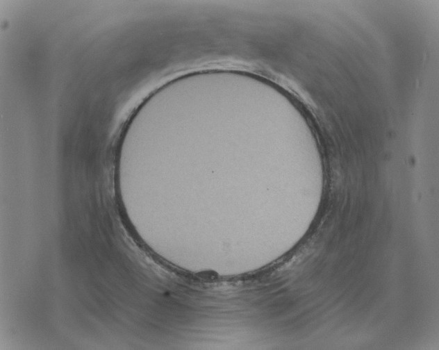 X0000075841504200610151532