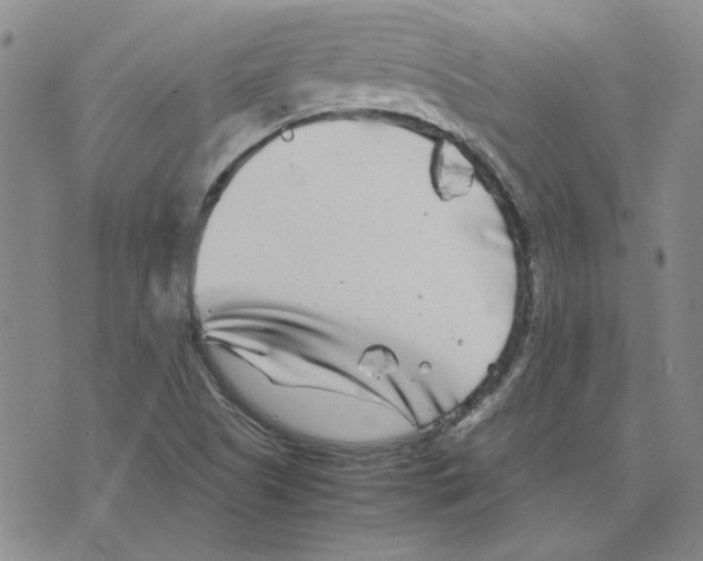 X0000075841505200610151532