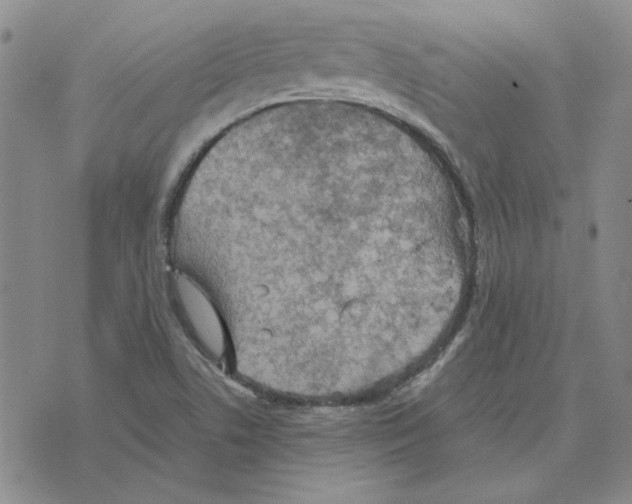 X0000075841506200610151532