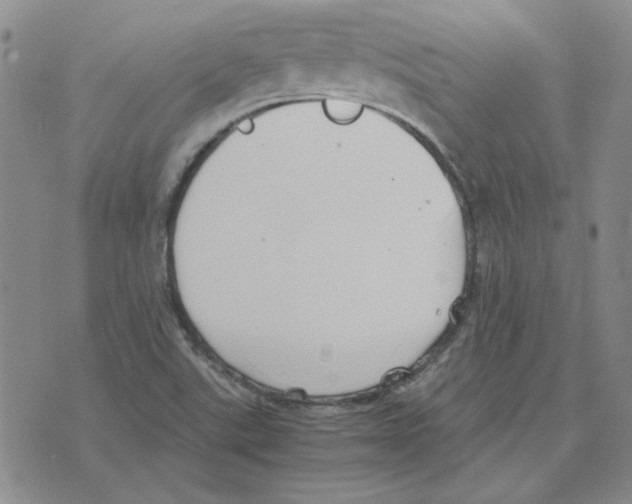 X0000075841507200610151532