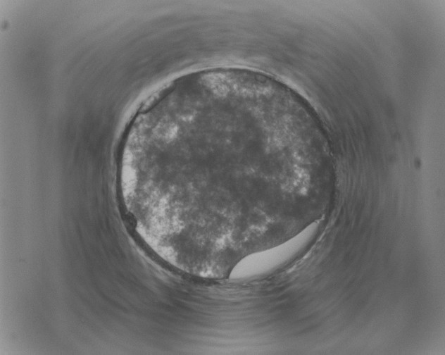 X0000075841508200610151532