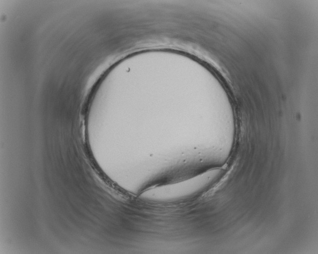 X0000075841509200610151532