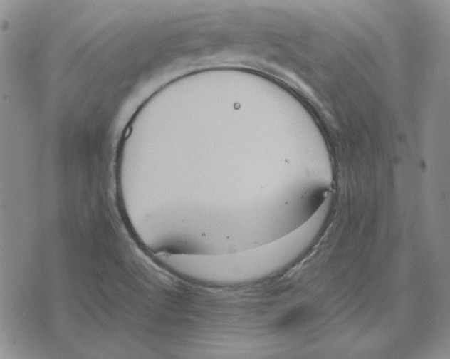 X0000075841512200610151532