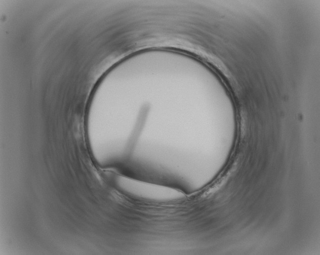 X0000075841513200610151532