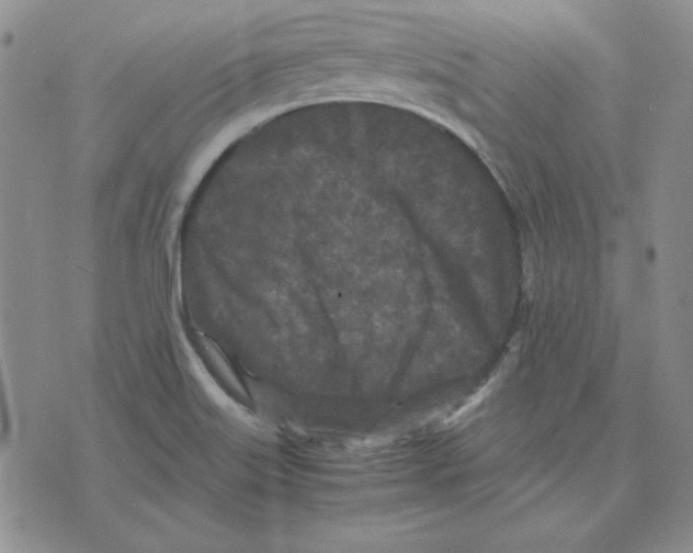 X0000075841515200610151532