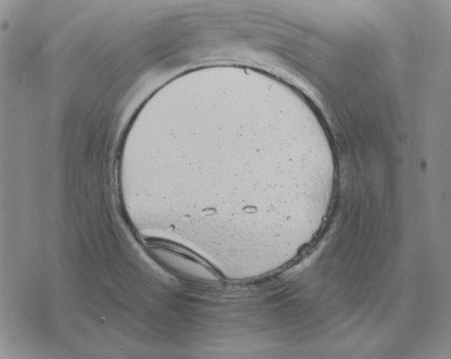 X0000075841517200610151532