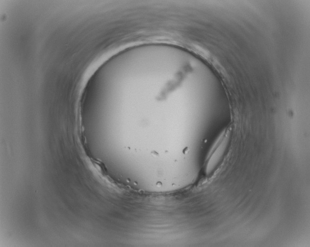 X0000075841520200610151532