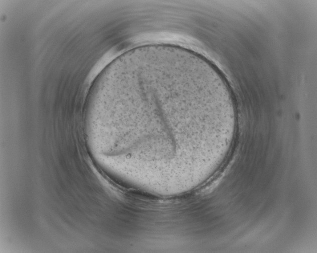 X0000075841521200610151532