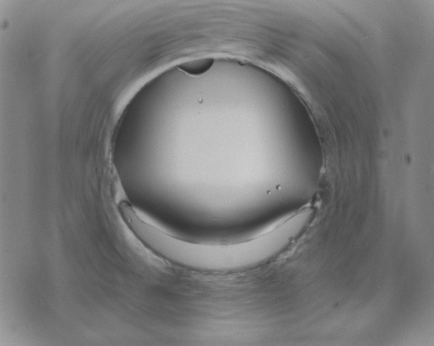 X0000075841524200610151532