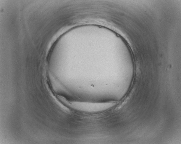 X0000075841525200610151532