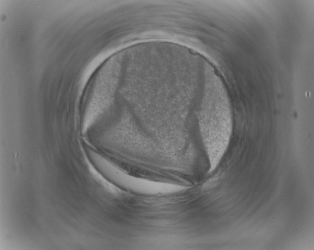 X0000075841527200610151532