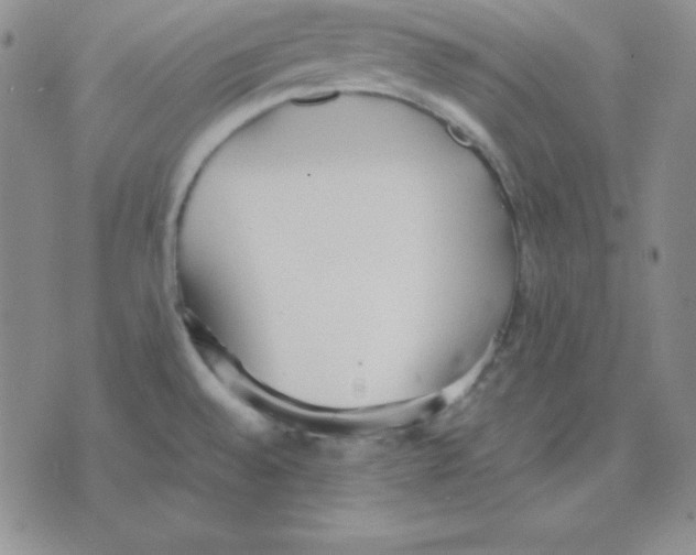 X0000075841528200610151532