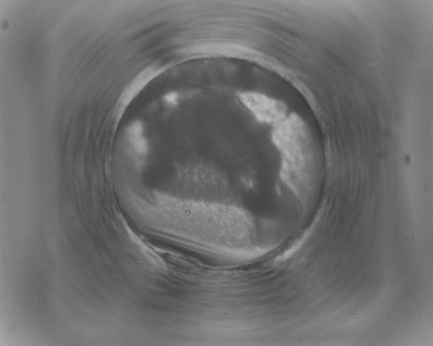 X0000075841529200610151532