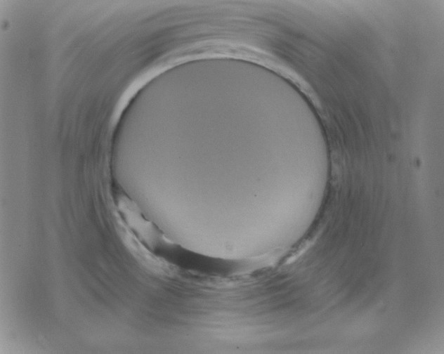 X0000075841530200610151532