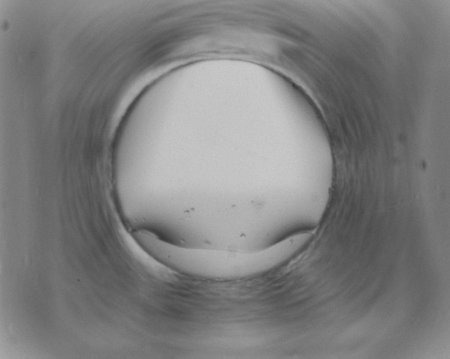 X0000075841531200610151532