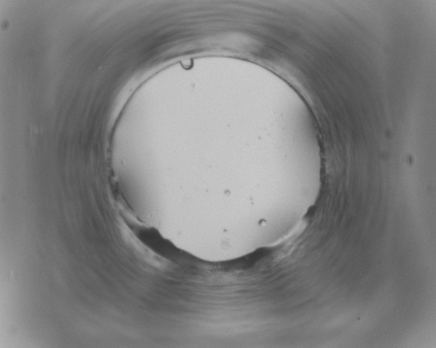 X0000075841532200610151532