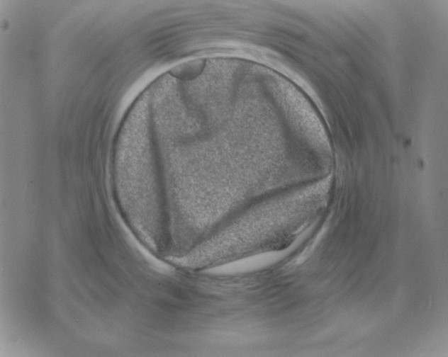 X0000075841533200610151532