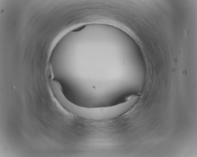 X0000075841536200610151532